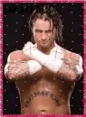 cm punk