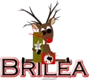 Brilea