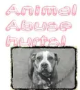 Animal abuse