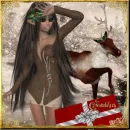 The Christmas Gift