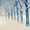 Winter Roads
