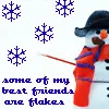 Flakes