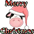 Merry Christmas Cow