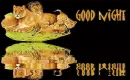 good night