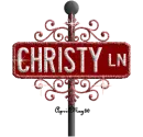 red street sign christy LN