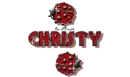 red traveling ladybugs christy