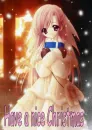 Have a nice christmas 
