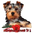 Michelle loves it puppy