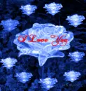 I LOVE YOU