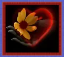 FRIEND FLOWER