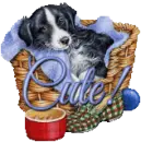 puppy in basket