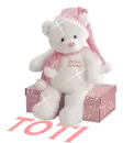 Toti... Teddy Bear with pink box