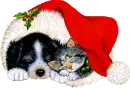 waiting for Santa