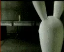 Rabbid hero