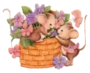 cutee