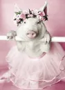 pink ballerina