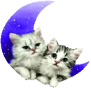 blue moon