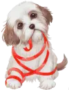 red ribbon