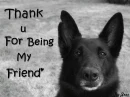 friend
