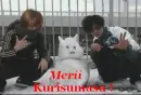 dir en grey