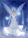 Snow Angel