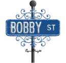 blue street sign bobby ST