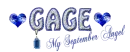 Gage