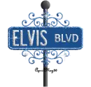 blue street sign elvis BLVD