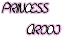 princess arooj
