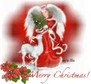 Merry Christmas!