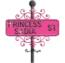 hot pink street sign princess sadia ST