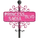 hot pink street sign princess sadia BLVD
