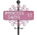pink street sign princess sadia ST