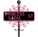 black street sign princess sadia ST