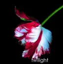 twilight backround