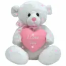 teddy bear