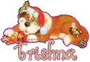 Christmas Relaxing Dog - Trishna