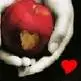 The apple