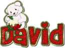 david