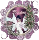 Christmas SnowFairy - Morgan
