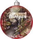 Ornament Scenery Snow - Morgan