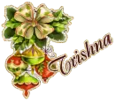Mistletoe Ornament - Trishna