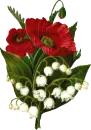 lovely flowers