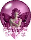 pink butterfly
