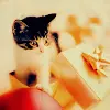 Christmas Gift