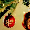 Christmas Season