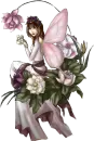pink butterfly