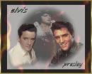 elvis