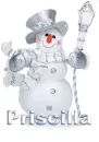 SILVER SNOWMAN