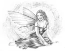 fairy